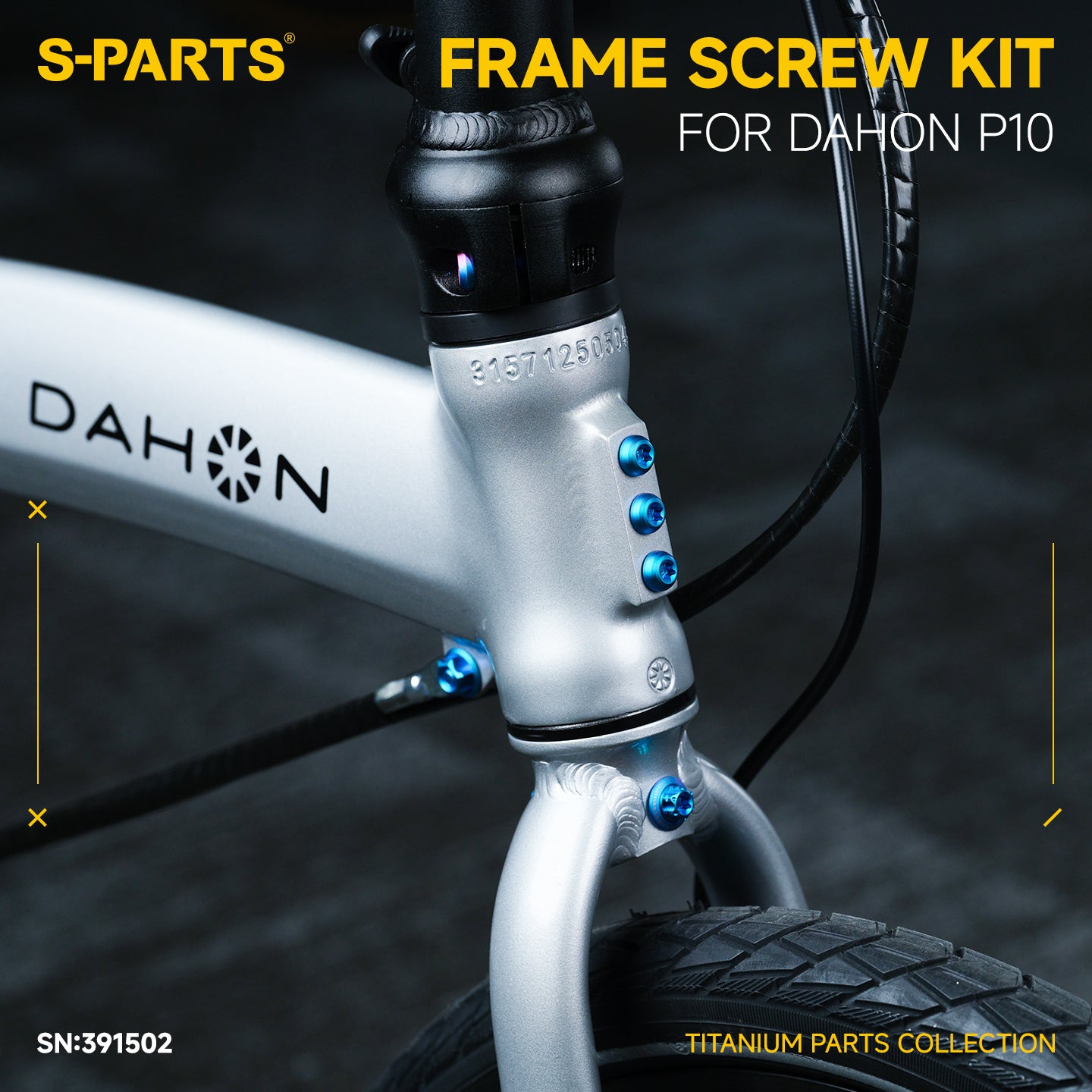 Frame Screw Kit For DAHON P10