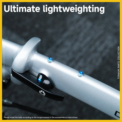 Frame Screw Kit For DAHON P10