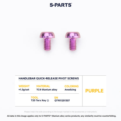 Frame Screw Kit For DAHON P10